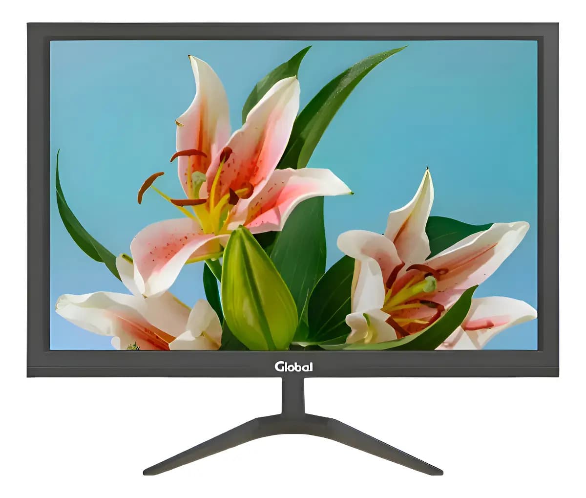 Monitor 19 Led Global Office Hd 1440x900 Hdmi Vga 60hz Tn Vesa Negro