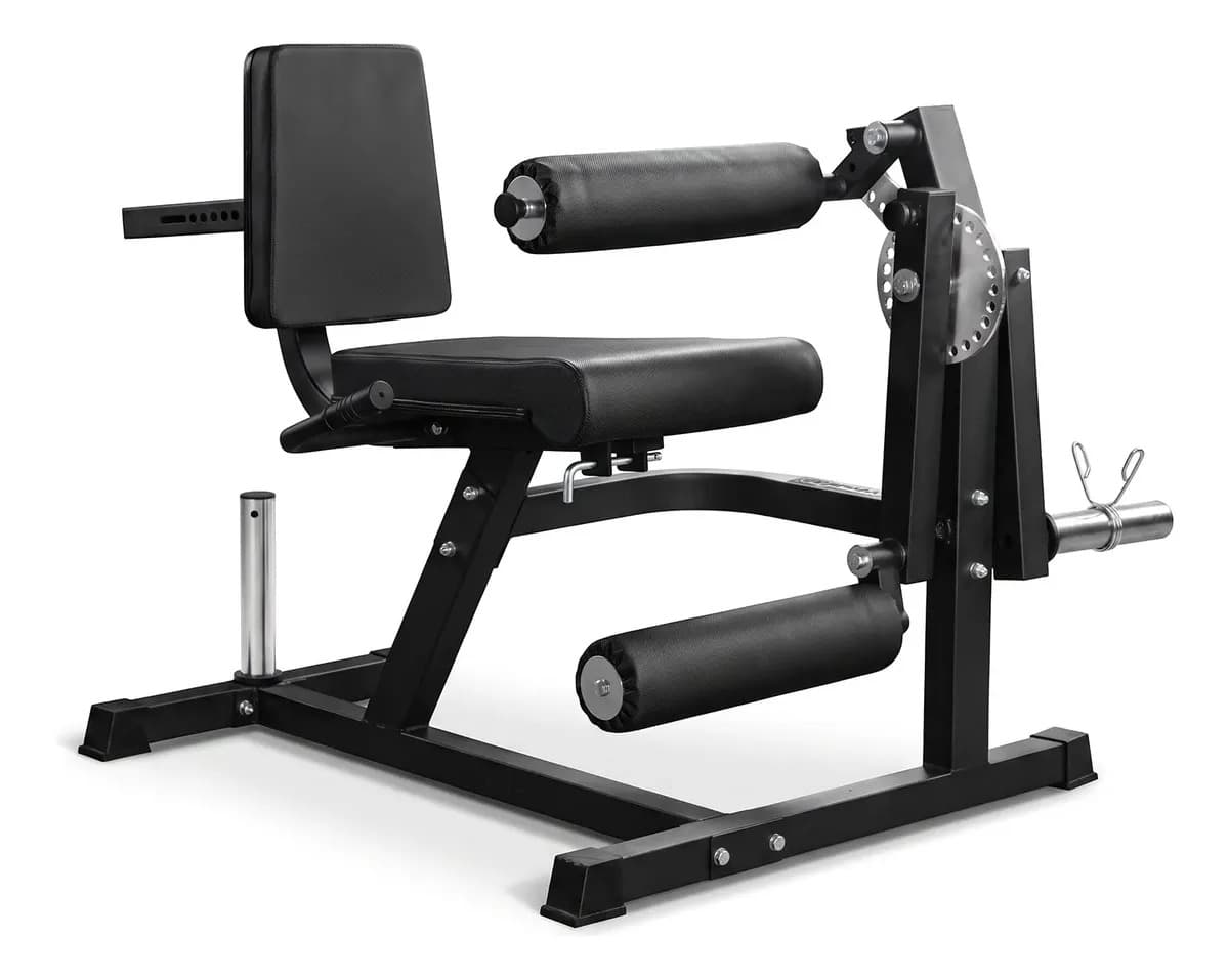 Sillon Combinado 2 en 1 Cuádriceps Femorales Isquiotibiales Maquina Discos 30 - 50 mm